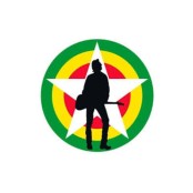 Joe Strummer Tribute Night